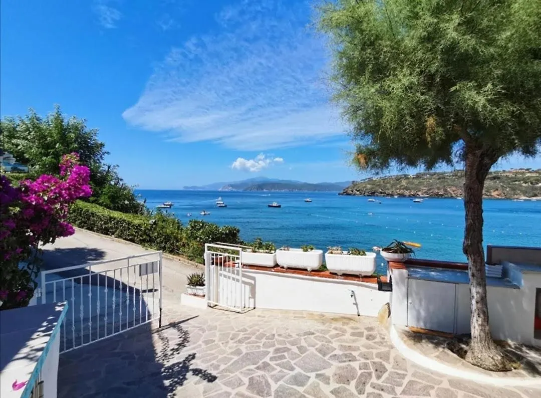 Apartment Villa Oda - Appartamenti Sul Mare - Isola D'Elba Casa Morcone Italy