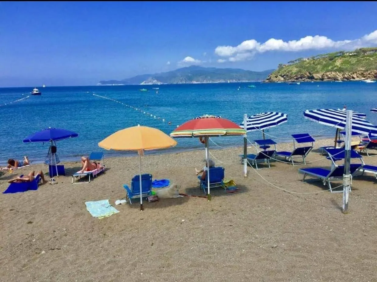 Apartment Villa Oda - Appartamenti Sul Mare - Isola D'Elba Casa Morcone Italy